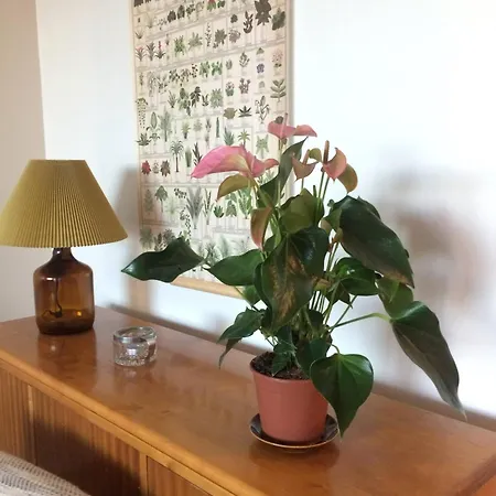 Penthouse Veitikanharju Lägenhet Rovaniemi