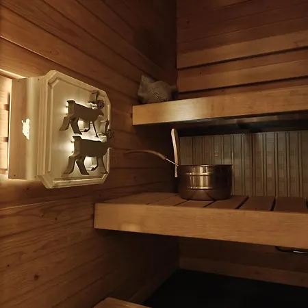 Lägenhet Penthouse Veitikanharju Rovaniemi